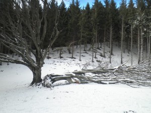 P2030004