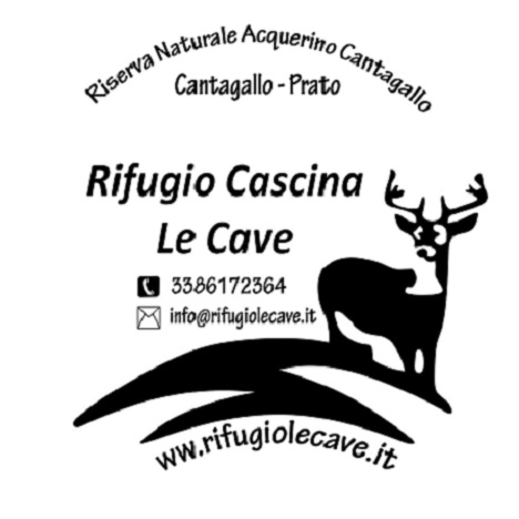 timbro cave 2014def